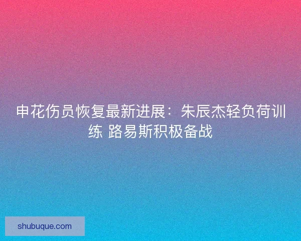 申花伤员恢复最新进展：朱辰杰轻负荷训练 路易斯积极备战