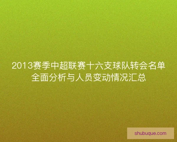 2013赛季中超联赛十六支球队转会名单全面分析与人员变动情况汇总