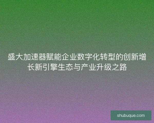 盛大加速器赋能企业数字化转型的创新增长新引擎生态与产业升级之路